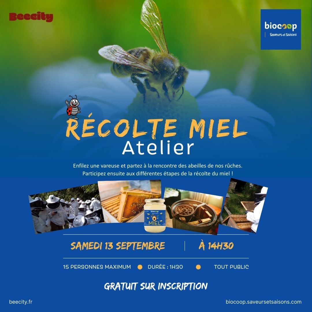 ATELIER MIEL - Samedi 13 septembre