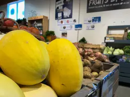 125-courge-spaghetti.webp