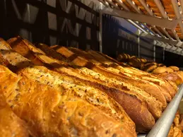 125-pains-fermente-eau-filtre-osmose-saveurs-et-saisons-biocoop-villeneuve-d-ascq-locale-baguette.webp