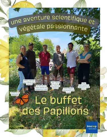 Le Buffet des Papillons