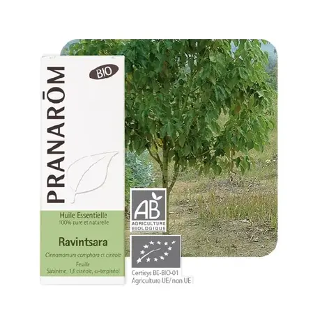 8.6 PRANAROM 