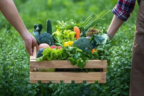 ATELIER PERMACULTURE: 'Je démarre mon potager'